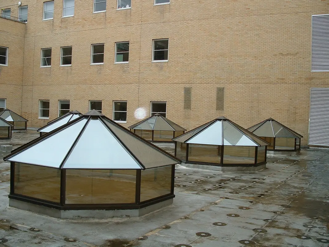 Flat Roof Skylights Herne Hill